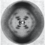 Franklin's DNA X-ray.