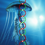 dna-over-jellyfish-copy